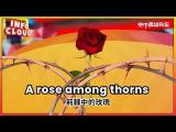 【英語維基】荊棘中的玫瑰 A rose among thorns / 空中英語教室