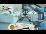 【新聞關鍵字】協作式機器人崛起 The Rise of Cobots / 空中英語教室