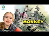 【What's Next? 看圖猜劇情】猴子 MONKEY / 大家說英語 - 202509