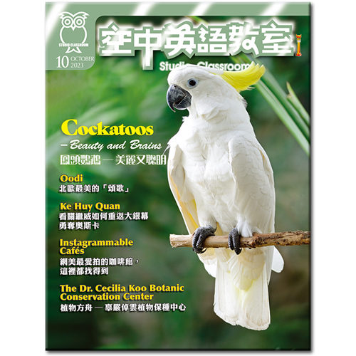 空中英語教室 雜誌 訂2年