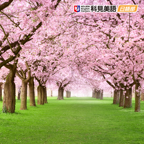 科見日語—兒童日語班