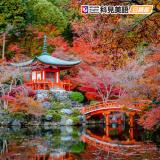 科見日語—成人日語檢定班